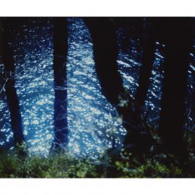 4x5_2021_05_c 70 - A3, 1/20