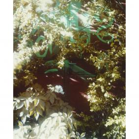4x5_2022_06_c 160 - A3, 1/20