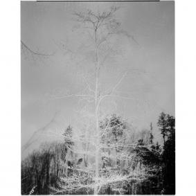4x5_2021_04_c 19 - A3, 1/20
