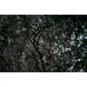 on the road #03 - A3+, AP 1/1